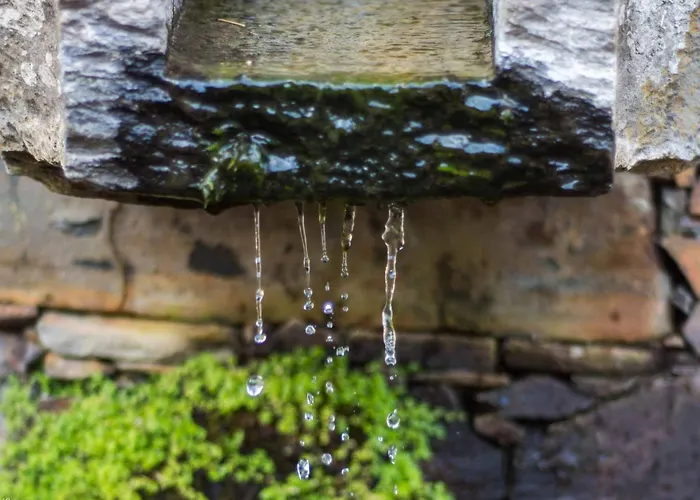 Refugios Do Pinhal مزرعة للإقامة أوليروس